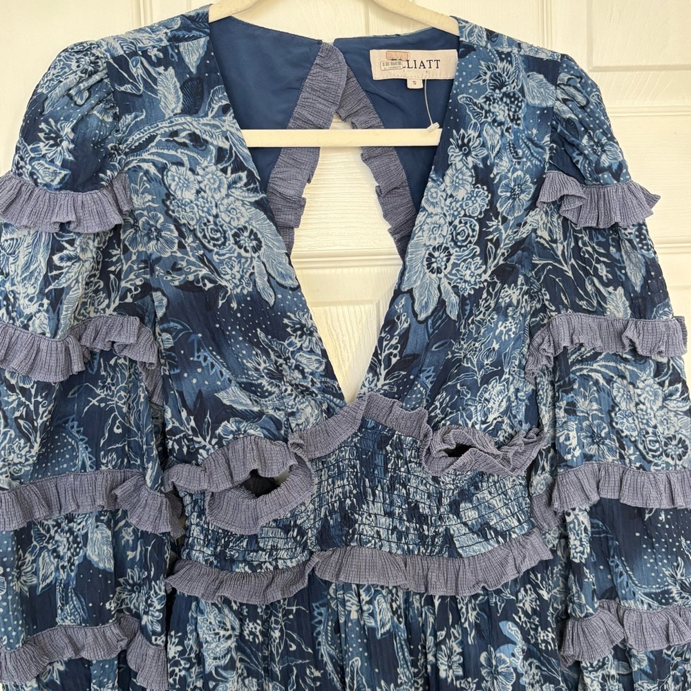 Elliat Blue Printed Ruffle Mini Dress - Picture 7 of 13